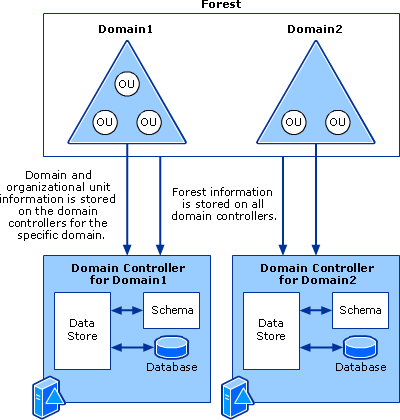 Active Directory Data and Storage Architecture