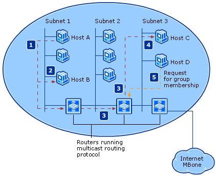 IP Multicasting Architecture