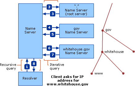 DNS Query Types