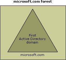 A forest used as the first Active Directory domain