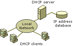 Simple DHCP network