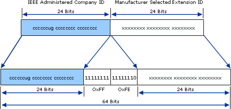 Conversion of IEEE 802 Address to EUI-64 Address