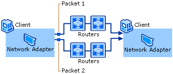 Two Packets Taking Different Routes Through a LAN