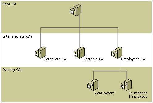 Rooted Trust Hierarchy Based on Organization