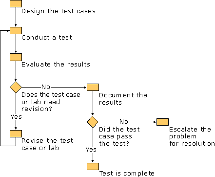 The Testing Process