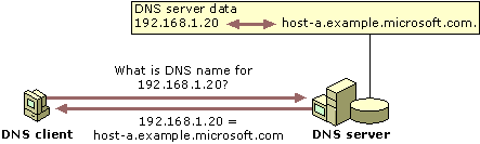 Example: DNS reverse lookup