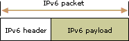 An IPv6 packet