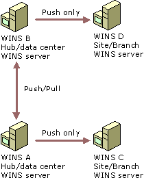 WINS push with propagation in a push replication