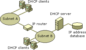 Example of a routed DHCP network