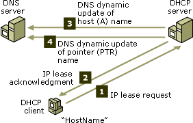 DHCP/DNS update interaction for early DHCP clients