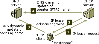 DHCP/DNS update interaction for DHCP clients
