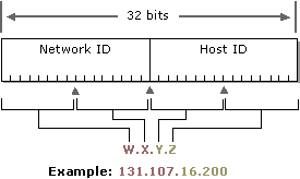 The IP address: network ID and host ID
