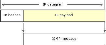 IGMP encapsulation in an IP datagram