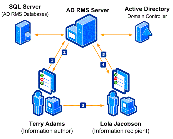 How AD RMS Works | Microsoft Learn