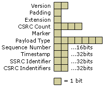 Figure 11: RTP Packet Structure