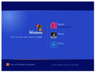 Figure 1: Welcome Screen in Windows XP