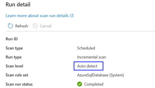 Screenshot that shows the scan level as auto detect.