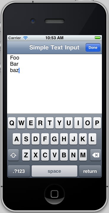 Simple Text Input Demo application screenshot