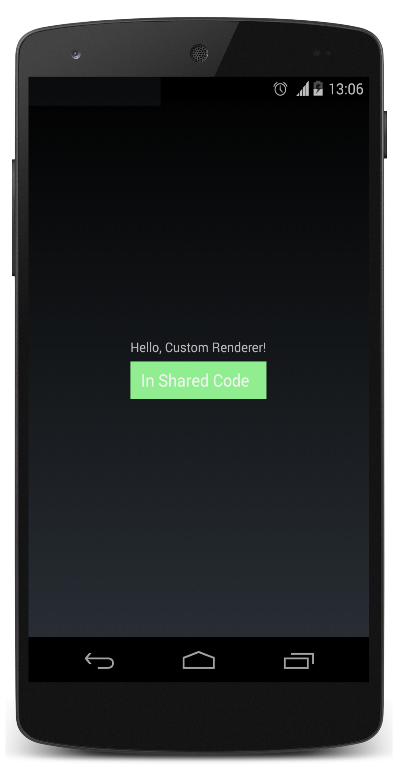 Entry Custom Renderer application screenshot