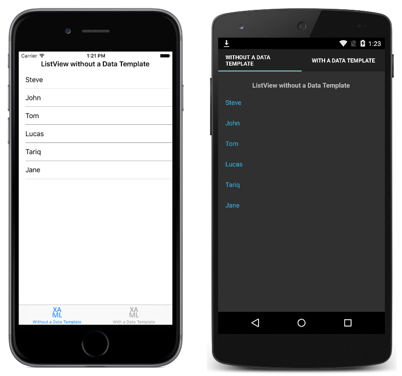 Data Template application screenshot