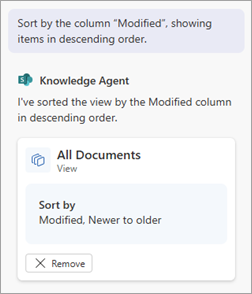 Screenshot of a summary of the view parameters in the chat panel.