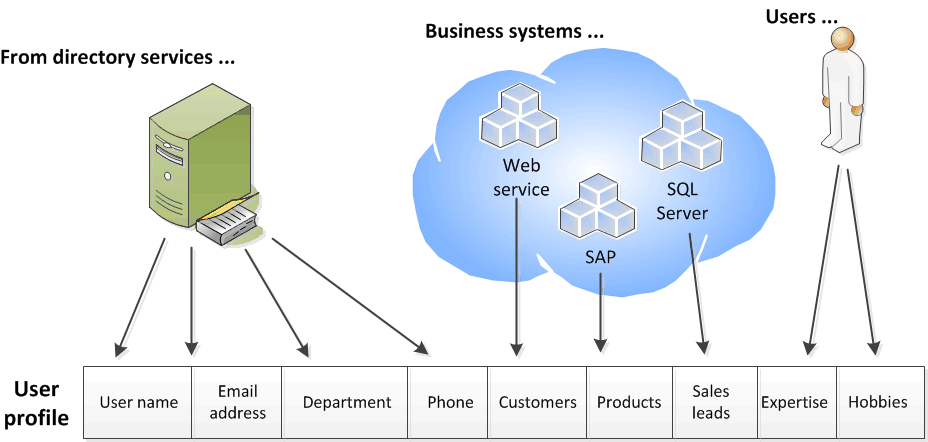 Composition of SharePoint Server user profiles