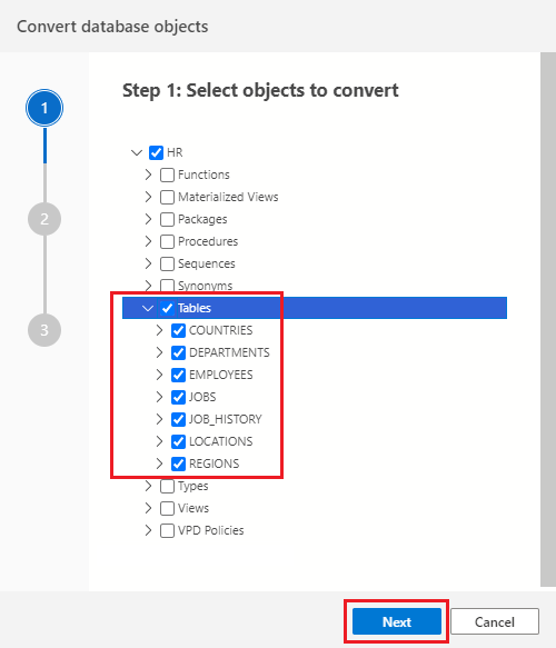 Select schema objects to convert
