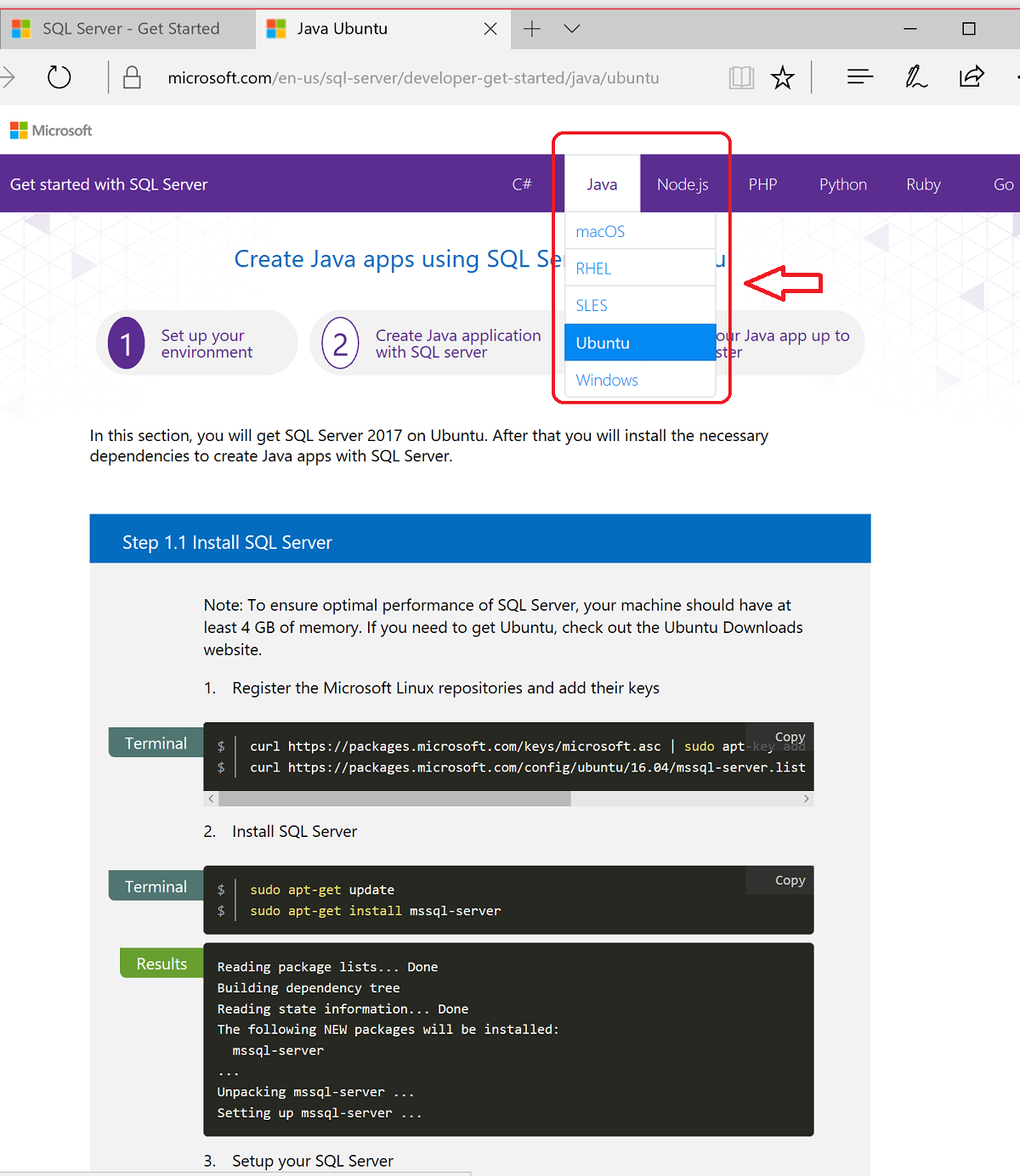 Screenshot of SQL Developer website, with Java on Ubuntu.