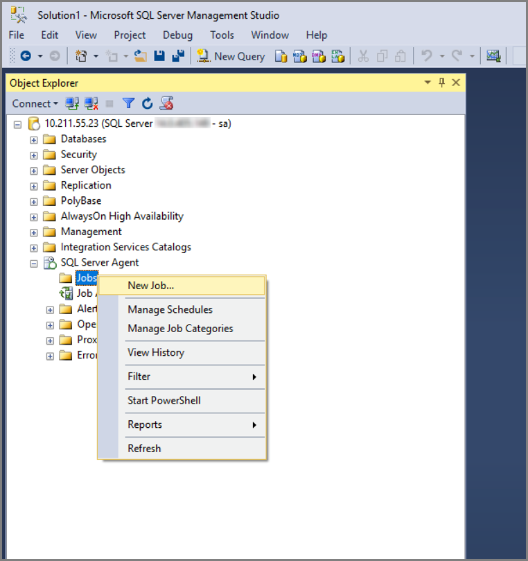 Sql Server Run Job