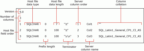 A diagram detailing the default non-XML format file for mytestskipcol.