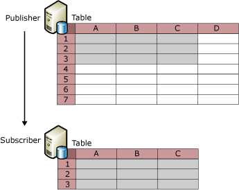 Row and column filtering