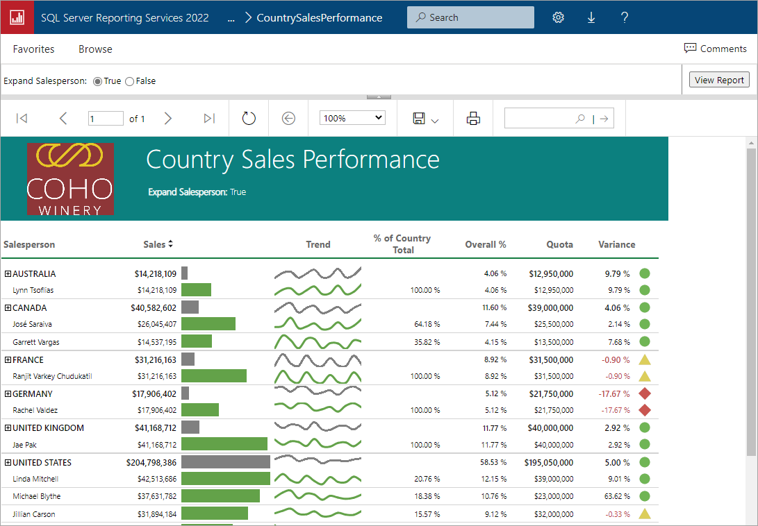 What is SQL Server Reporting Services - SQL Server Reporting Services (SSRS)  | Microsoft Learn