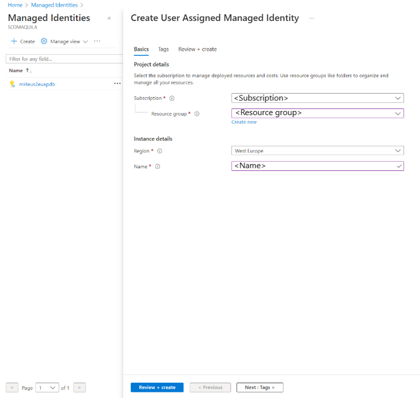 Screenshot that shows project and instance details for a user-assigned managed identity.