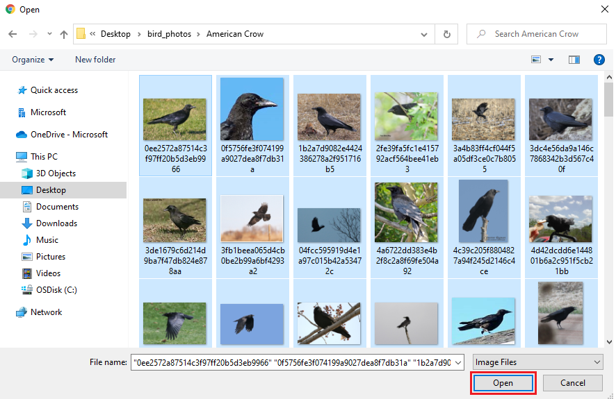 Screenshot that shows selecting all images in a species folder.