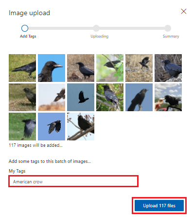 Screenshot that shows how to add a tag description to uploaded photos in Custom Vision.