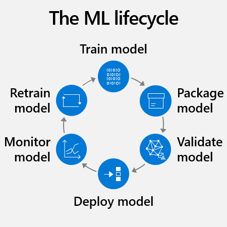 Illustration of the ML lifecycle.