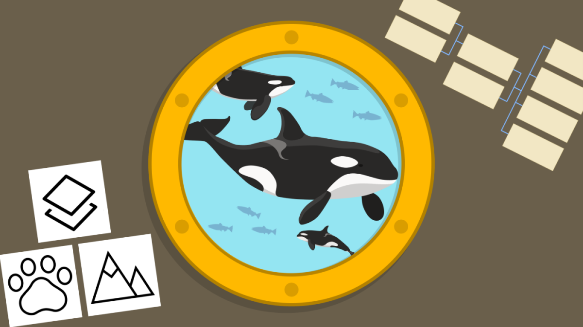 Illustration of an orca whale through porthole with data type symbols and small blank diagram chart.