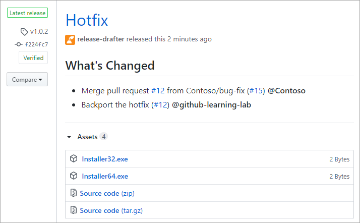 Screenshot of viewing a GitHub release.