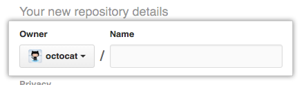 Screenshot of the new import repository owner name.