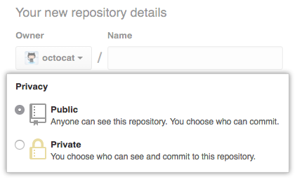 Screenshot of the new repository public or private options.