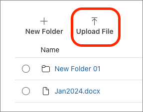 Screenshot of the Upload File button.
