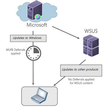 Diagram showing use of WSUS to defer Windows updates with other update content hosted on WSUS.