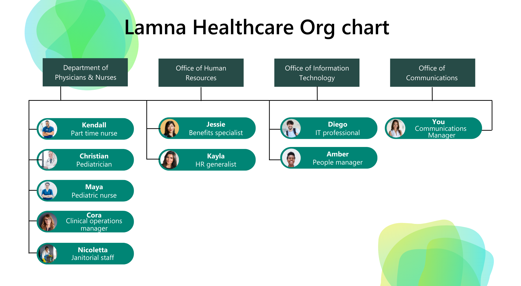 Diagram showing a simplified Lamna Healthcare org structure.