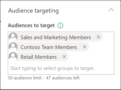 Screenshot of the audience targeting field.