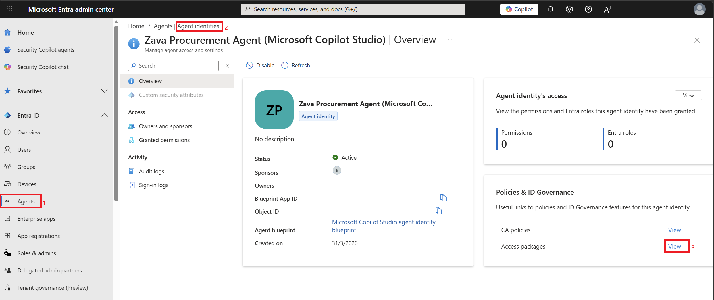 Screenshot showing the agent identities page with access packages selected.