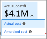 Screenshot showing actual cost and amortized cost selection.