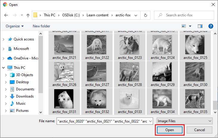 Screenshot that shows all images selected and ready to open.