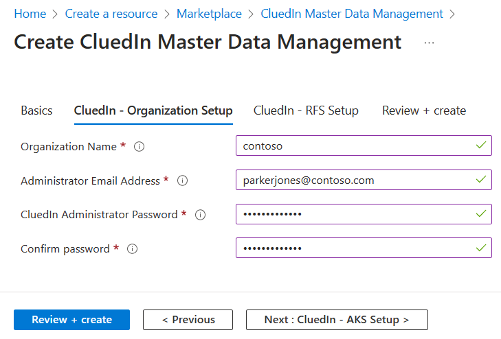 Screenshot of CluedIn Master Data Management Page organization setup page.