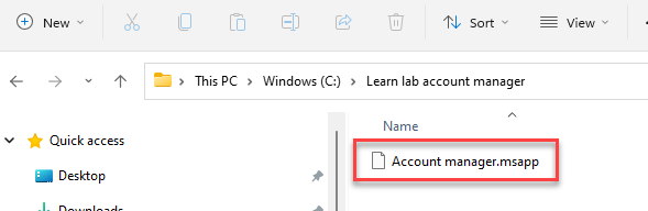 Screenshot of the downloaded application.