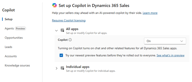 Screenshot of the set up Copilot details.